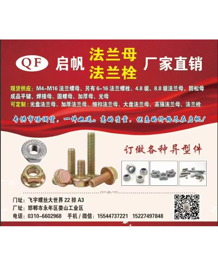 飞宇20241119 (2)