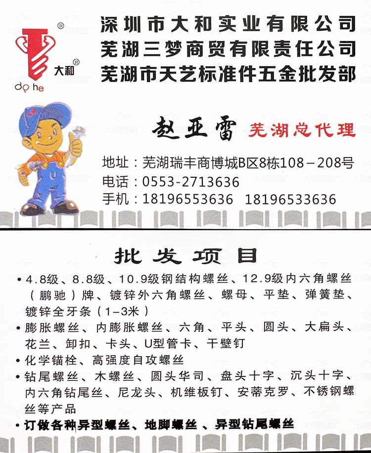 安徽芜湖 (11)