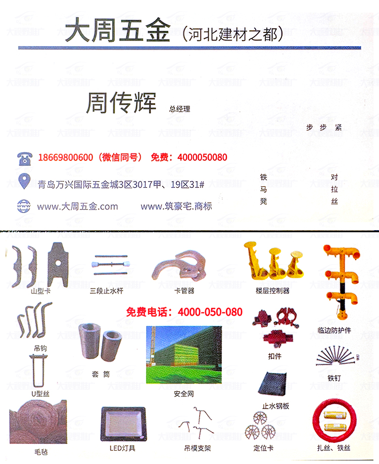 2024山东青岛 (3)