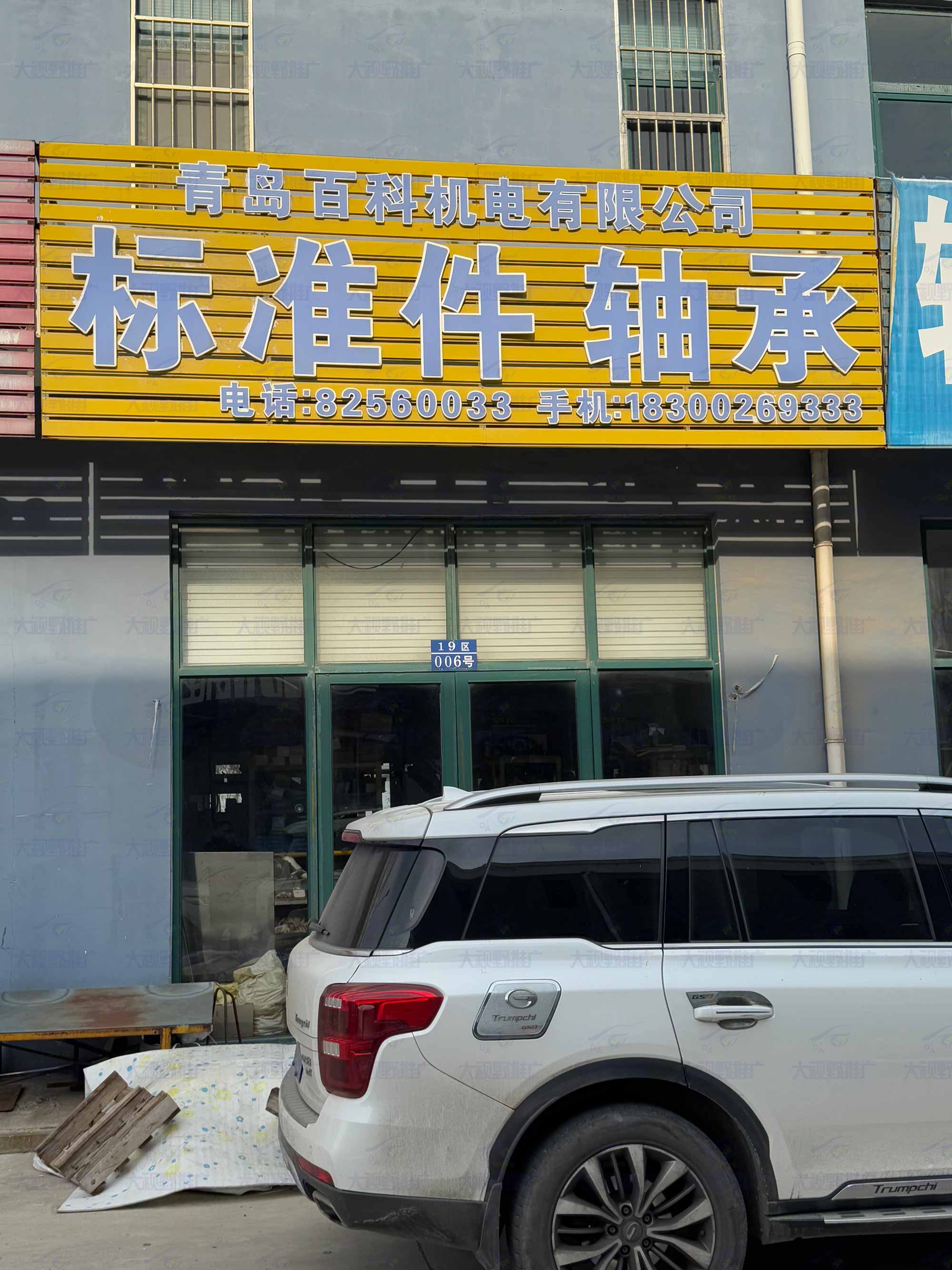 2024山东青岛 (40)